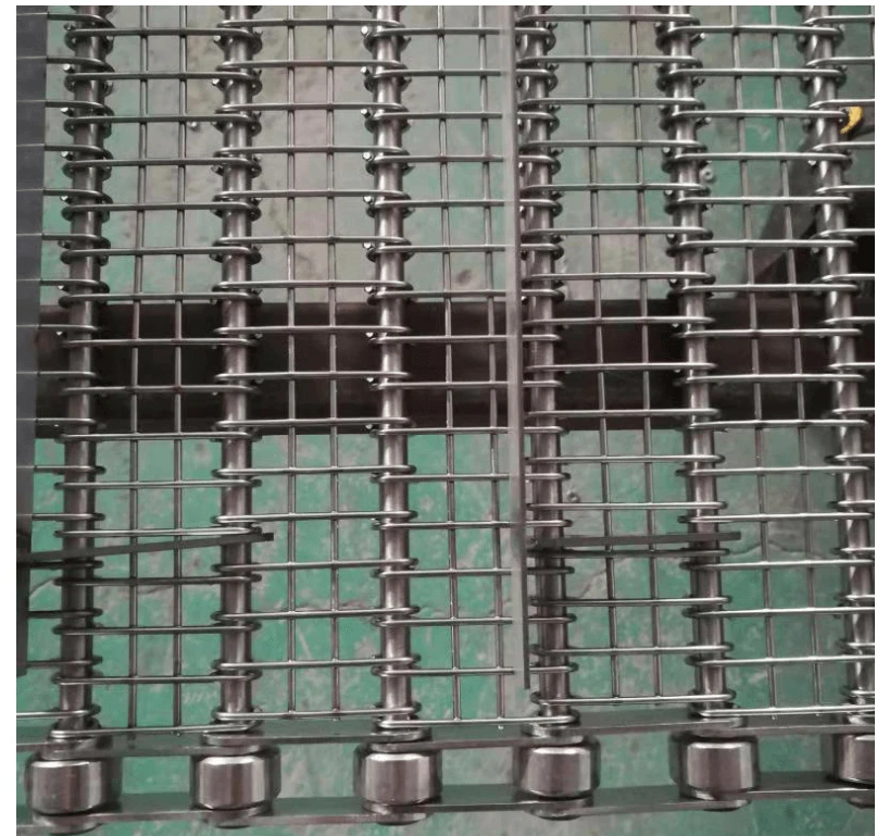 Eye Link Mesh Belt